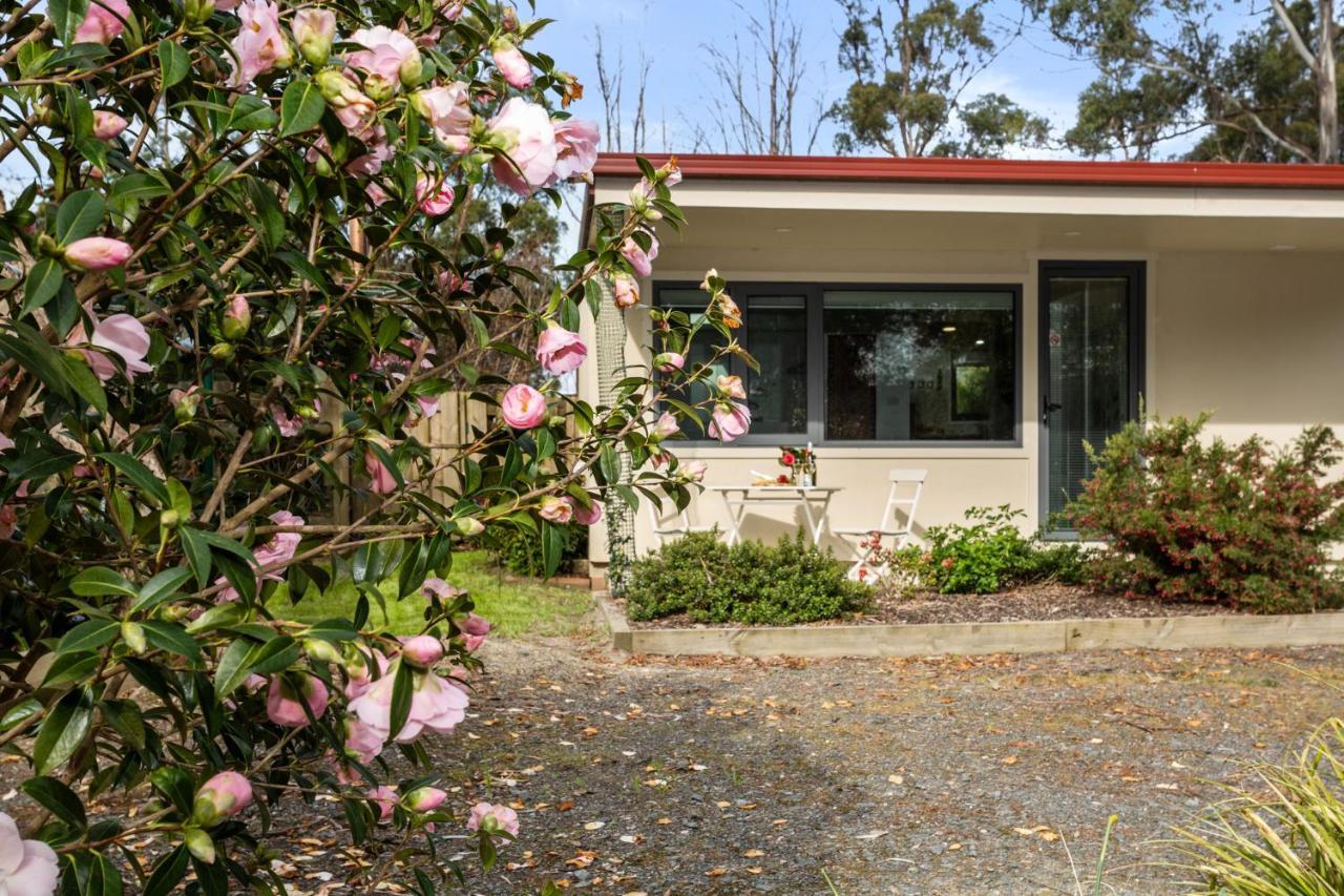 Karoola Cottage Self Contained Lilydale Dış mekan fotoğraf